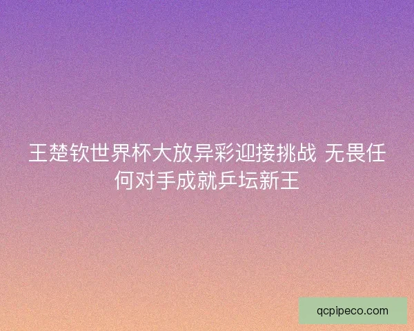 王楚钦世界杯大放异彩迎接挑战 无畏任何对手成就乒坛新王 王楚钦世界杯大放异彩迎接挑战 无畏任何对手成就乒坛新王