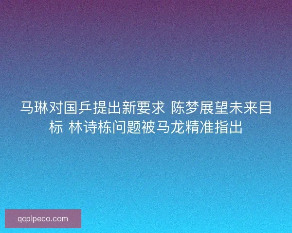 马琳对国乒提出新要求 陈梦展望未来目标 林诗栋问题被马龙精准指出