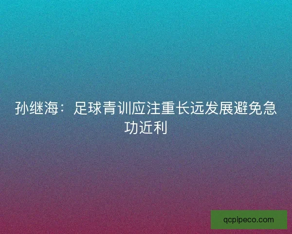 孙继海：足球青训应注重长远发展避免急功近利
